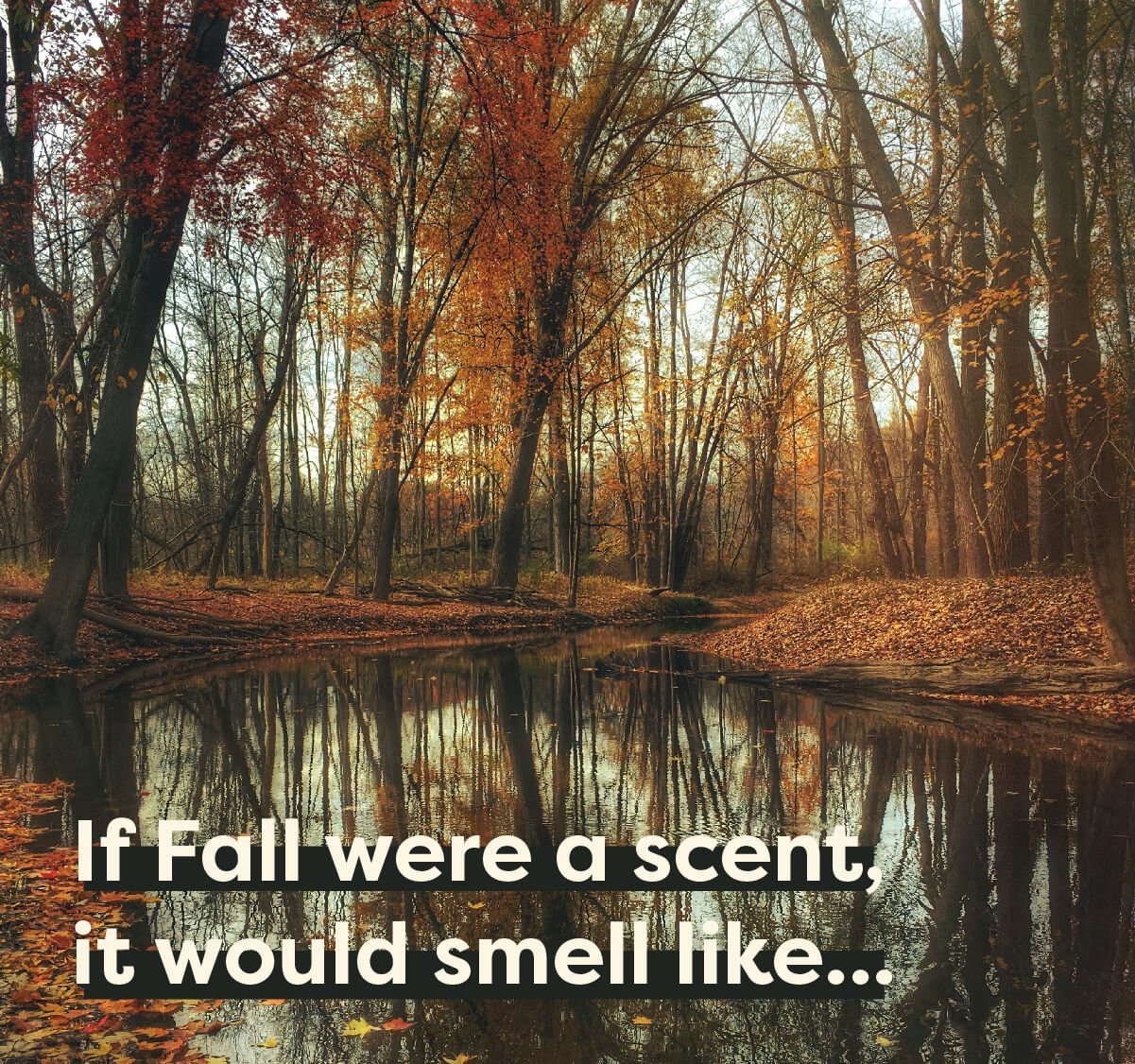 The Complete Fall Candle Guide - Calyan Wax Co.