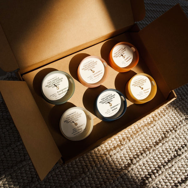 Evergreen + Eucalyptus Dignity Series - Calyan Wax Co.