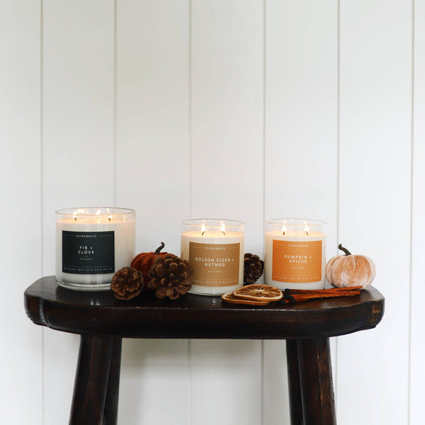 Fir + Clove 3 - Wick Clear Glass Tumbler Soy Candle - Calyan Wax Co.